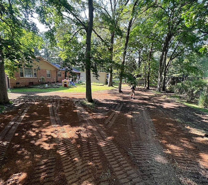 Overseeding graded yard