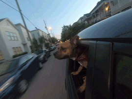 beaupage2.gif