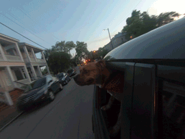 beaupage.gif