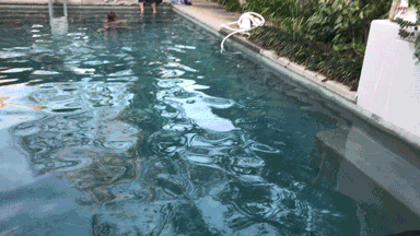 take2process4.gif