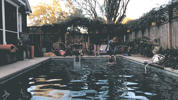 take2process3.gif
