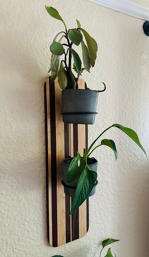 A.J. Darrow Clauson Wall Mount Plant Rings | Clauson Custom