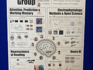Neuronal Oscillations Group presents poster at Oxford University Psychiatry Half Away Day