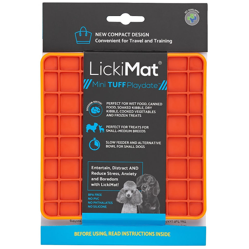 Thumbnail: LickiMat®  Mini Tuff Playdate™