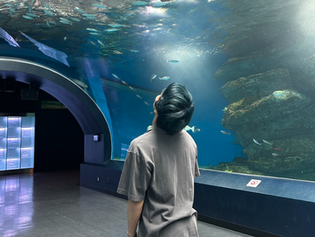 早稲田大学　文化構想学部　寝不（仮名）