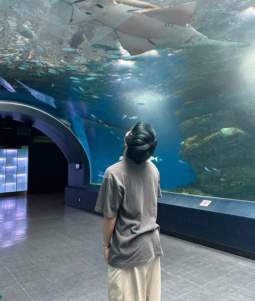 早稲田大学　文化構想学部　寝不（仮名）