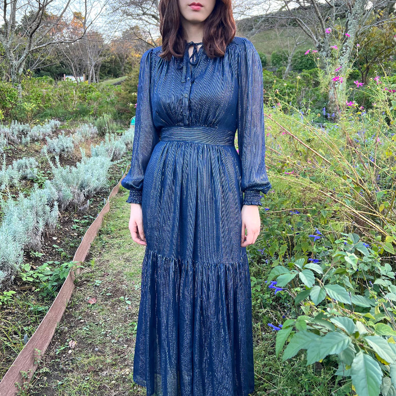 サムネイル： midnight blue silver lame dress