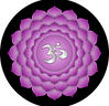 chakra coronal (7).png