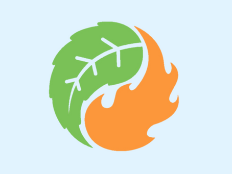 Short-termism led us into the Anthropocene