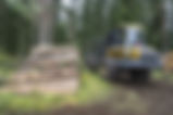 Wood harvesting Canada
