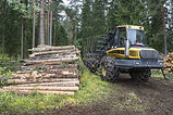 Wood harvesting Canada