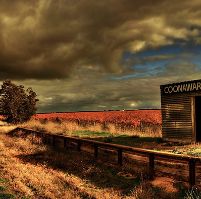 Dragan's Images - Coonawarra 1.jpg