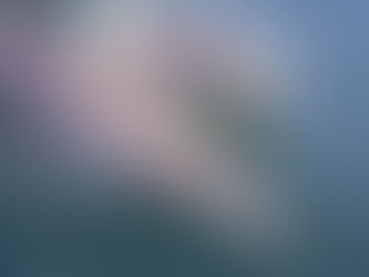 Frolicking around Kangaroo Island: Exploring the north coast