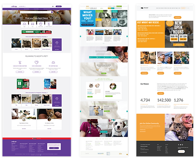 Case-3---MockUp.png