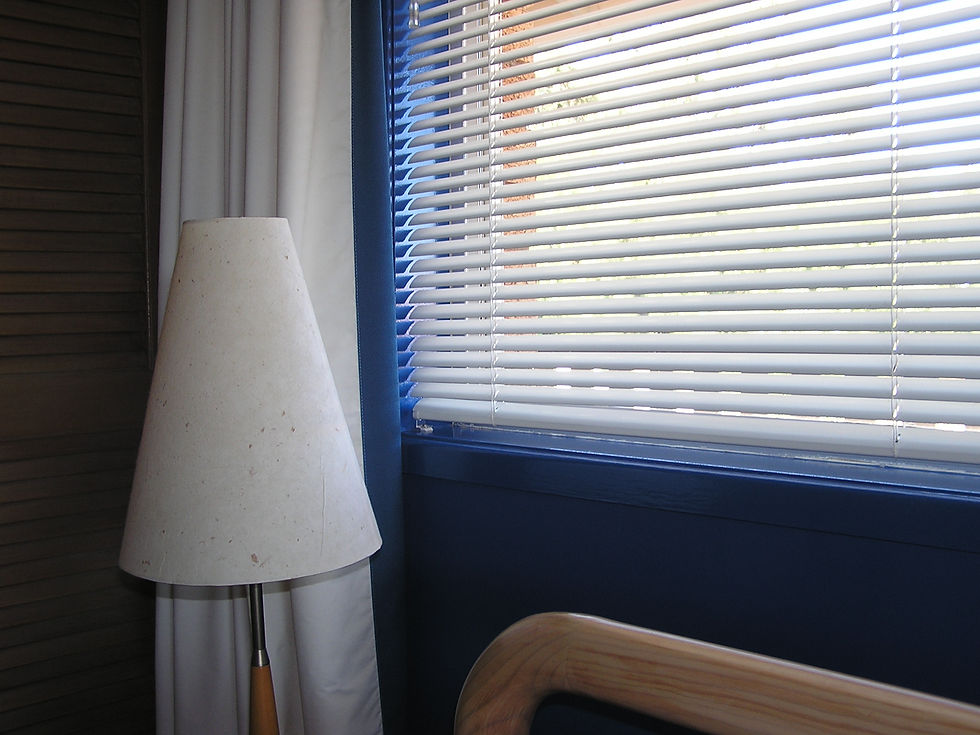 Slimline Blinds