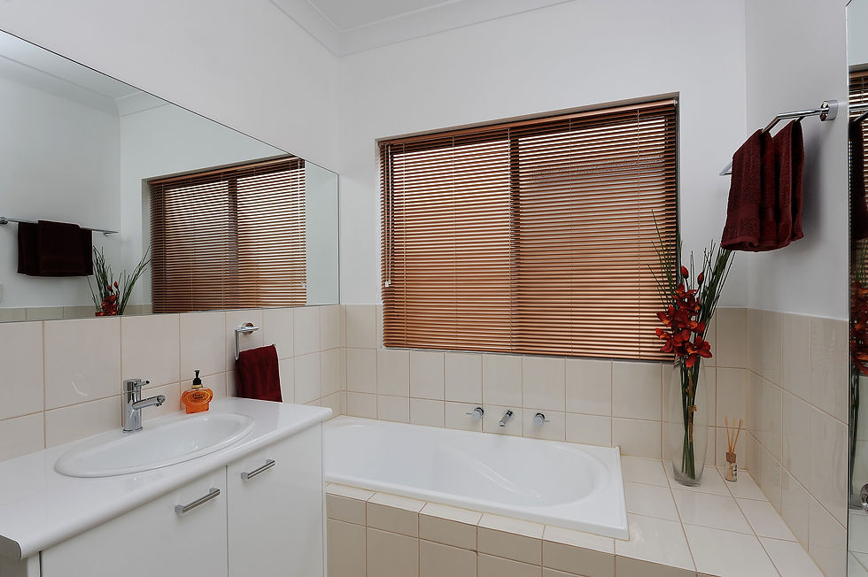 Slimline Blinds