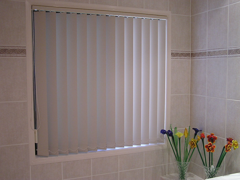 Vertical Blinds