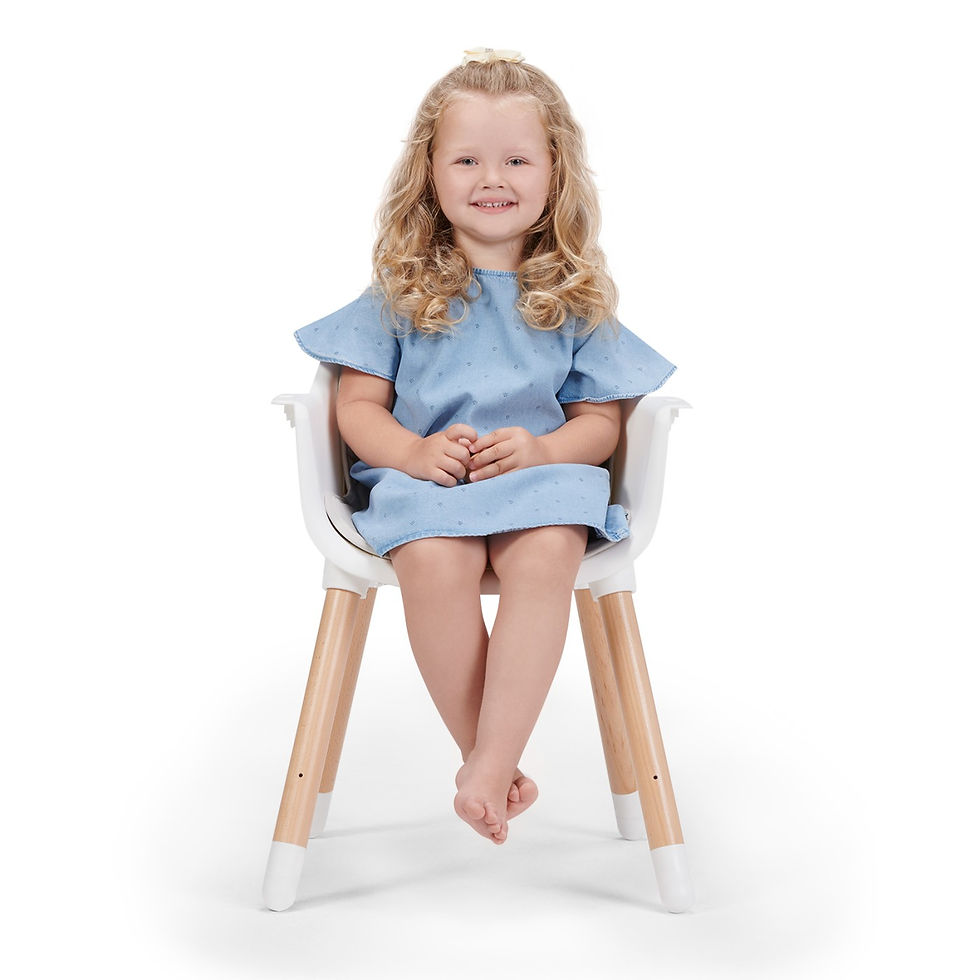 Miniatură: SCAUN DE MASA KINDERKRAFT SIENNA, 2 IN 1, GREY