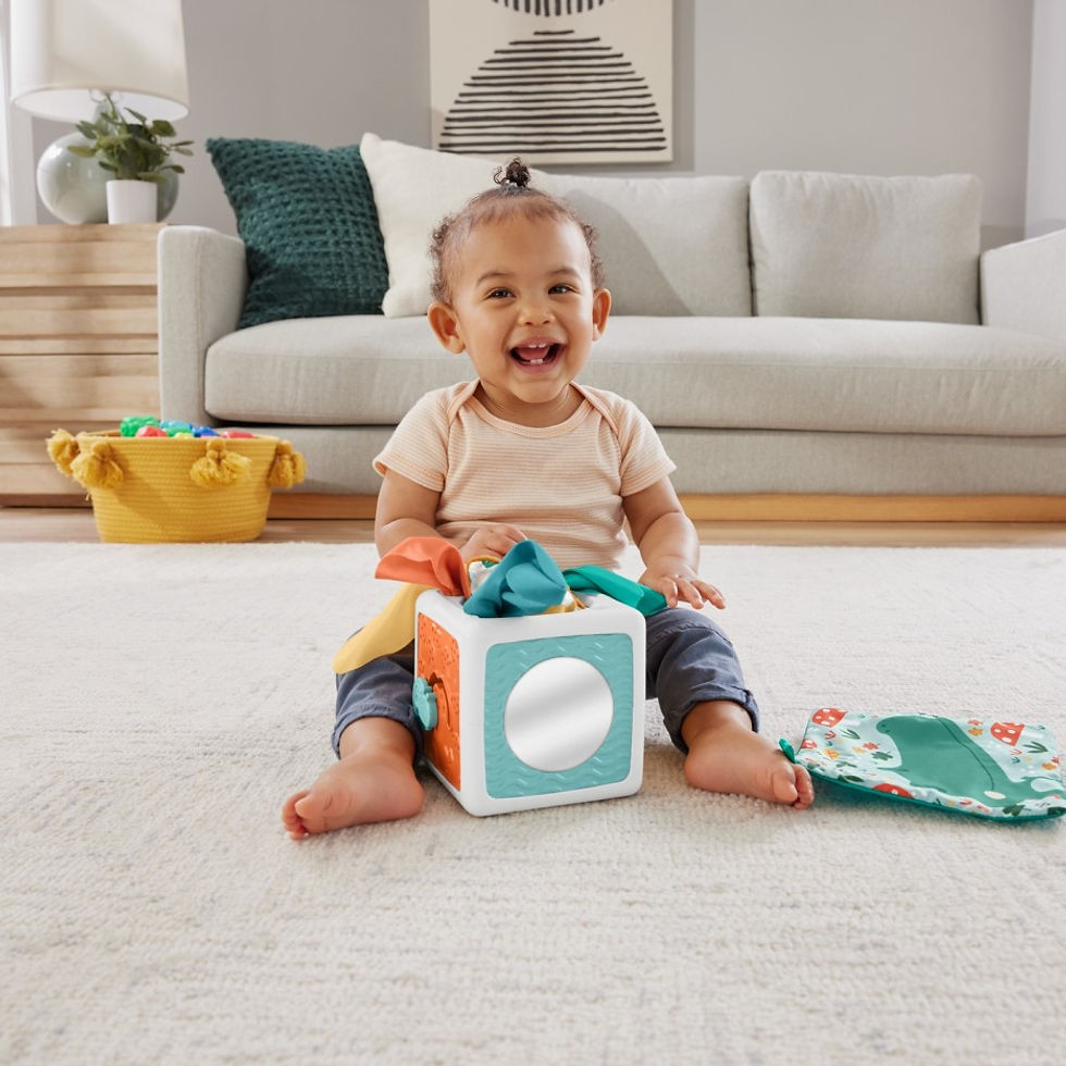 Miniatură: FISHER PRICE CUB CU ACTIVITATI
