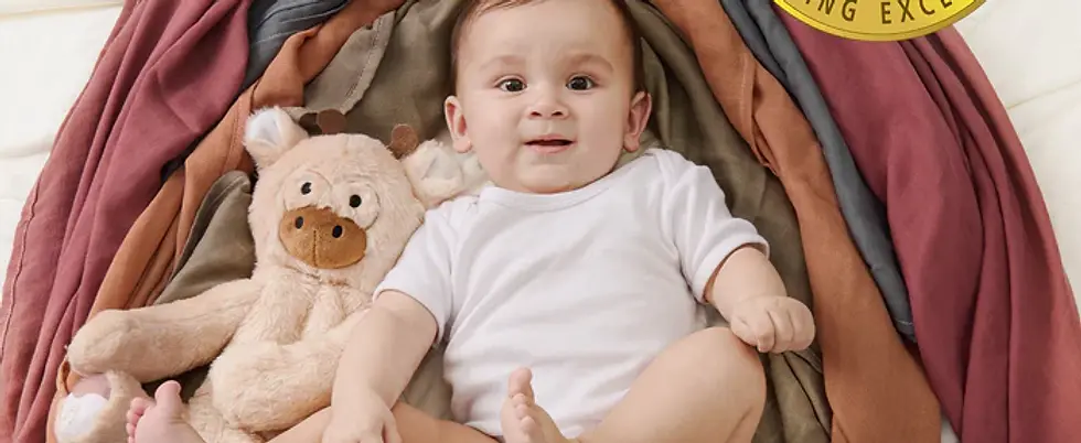 Miniatură: Set 4 Museline Bambus si  Bumbac 120 x 120 cm - Boy set  Swaddle