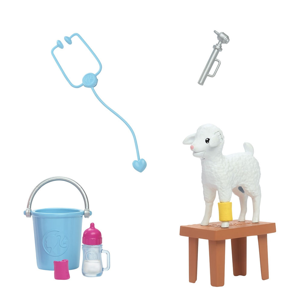 Miniatură: BARBIE PAPUSA BARBIE YOU CAN BE MEDIC VETERINAR