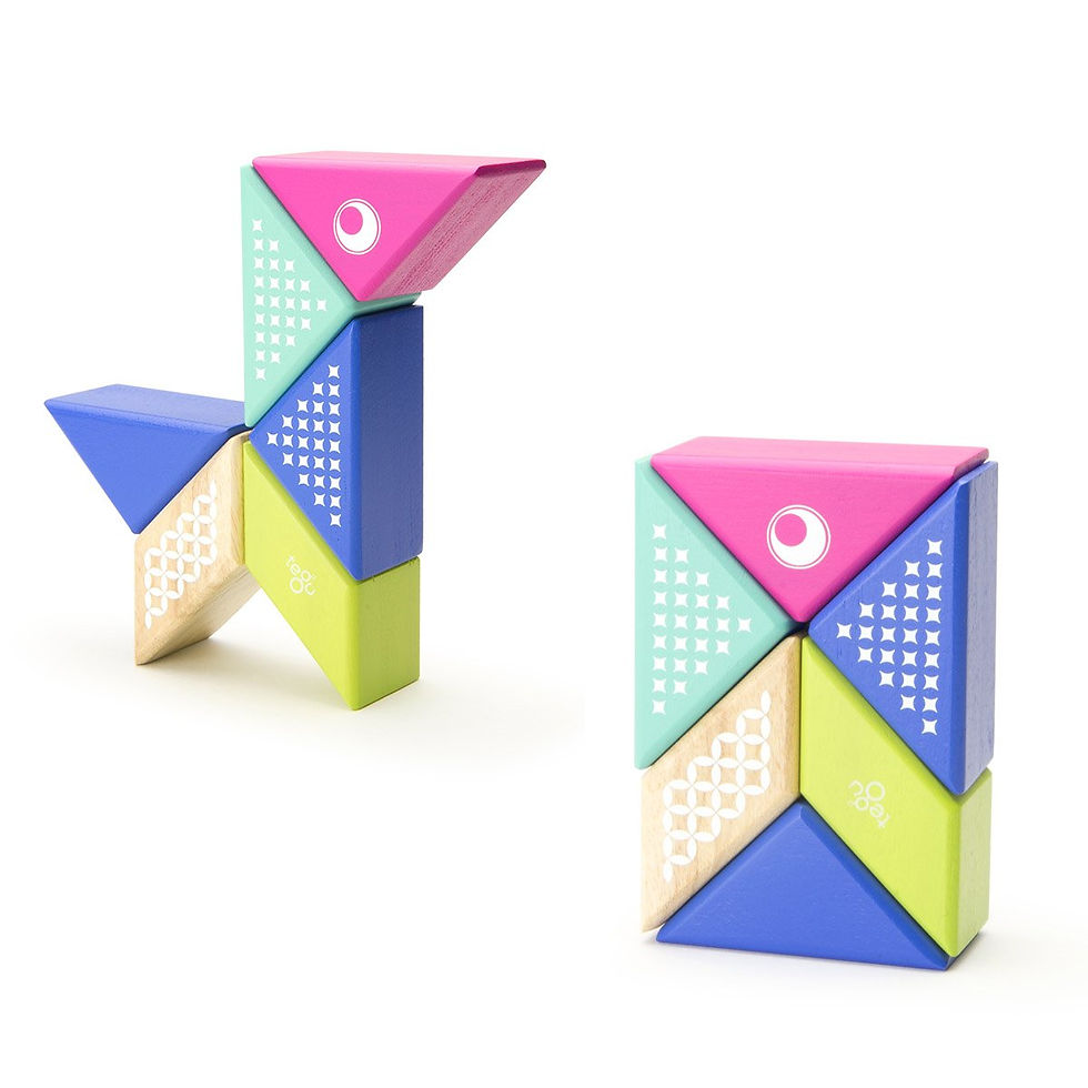 Miniatură: Tegu Hummingbird, blocuri magnetice pentru calatorii