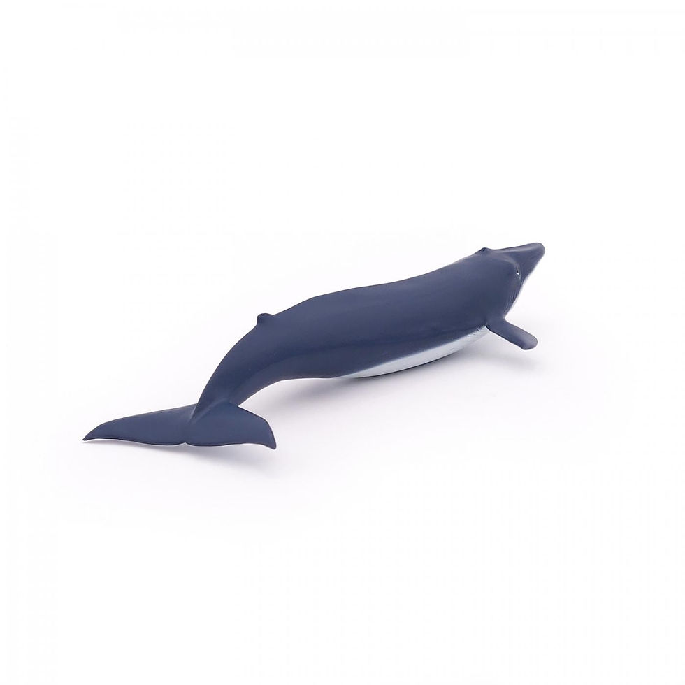 Miniatură: PAPO FIGURINA PUI DE BALENA ALBASTRA