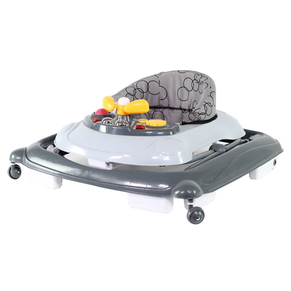 Miniatură: PREMERGATOR NANIA BASILE, GREY