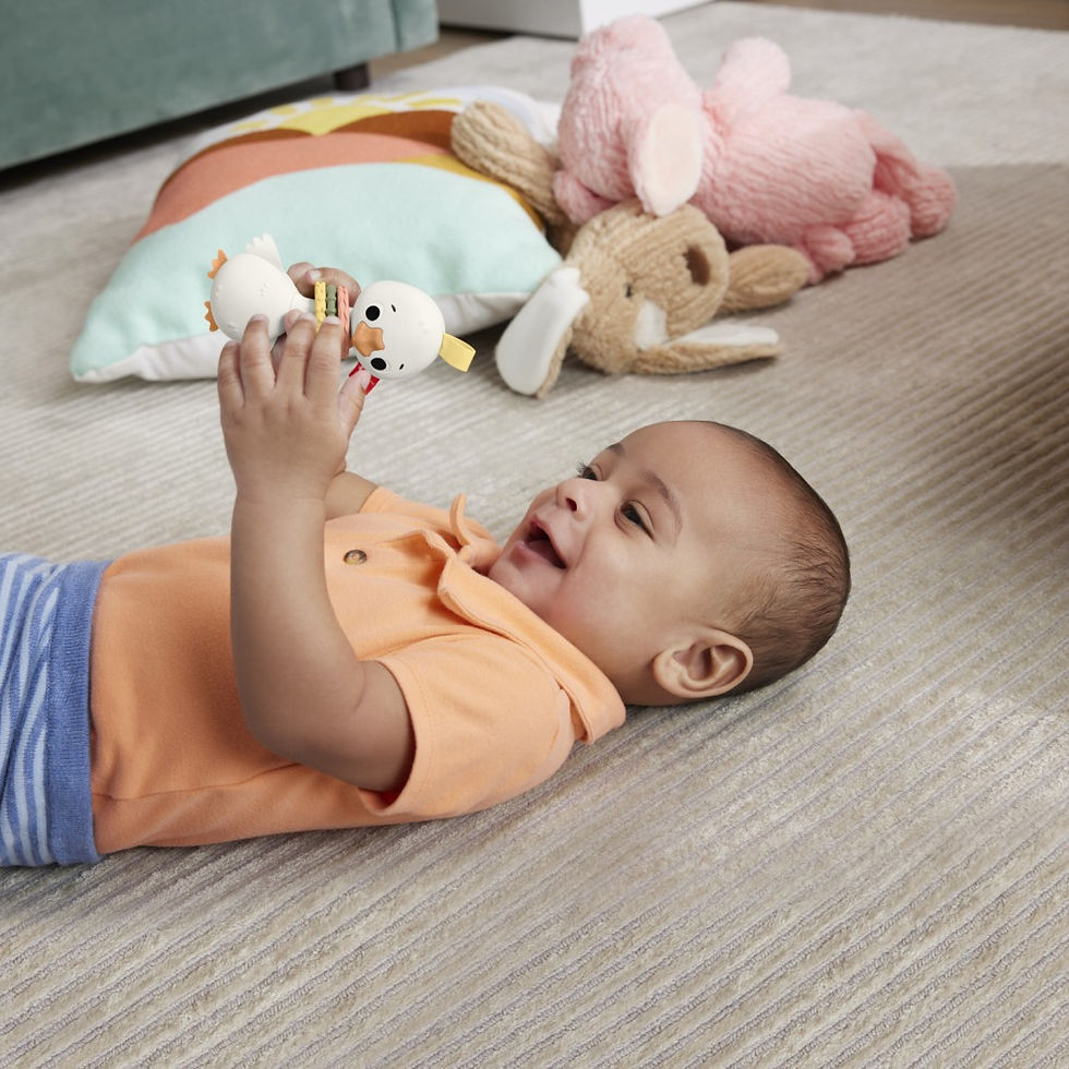 Miniatură: FISHER PRICE JUCARIE ZORNAITOARE GASCA