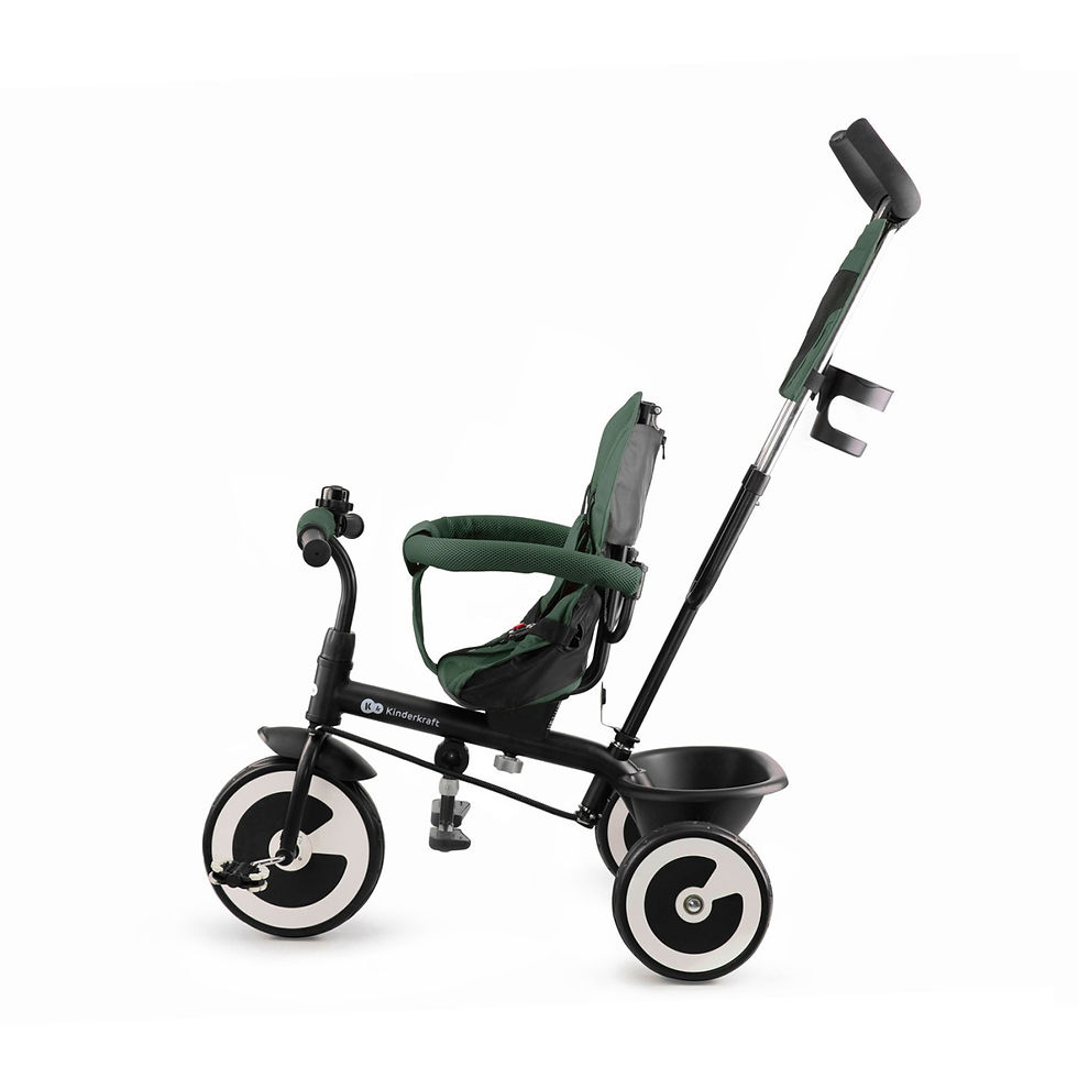 Miniatură: TRICICLETA COPII, KINDERKRAFT ASTON, MYSTIC GREEN