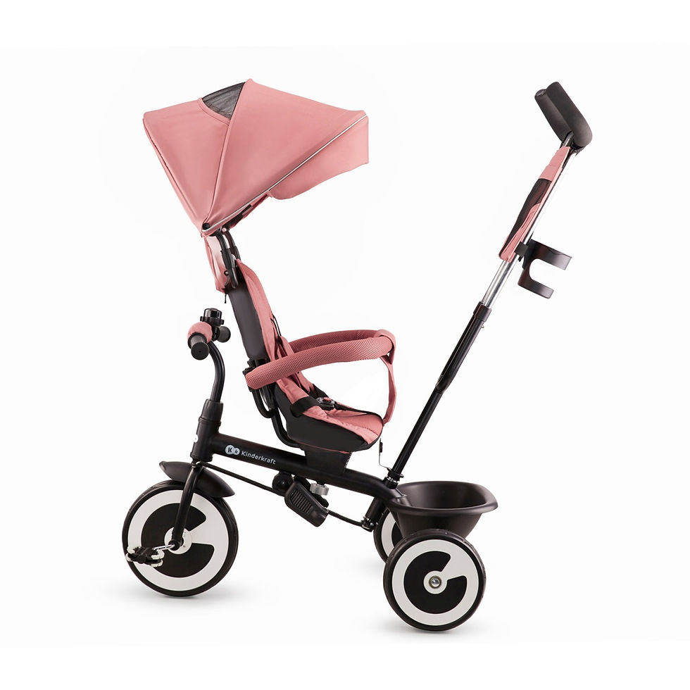 Miniatură: TRICICLETA COPII KINDERKRAFT ASTON, ROSE PINK