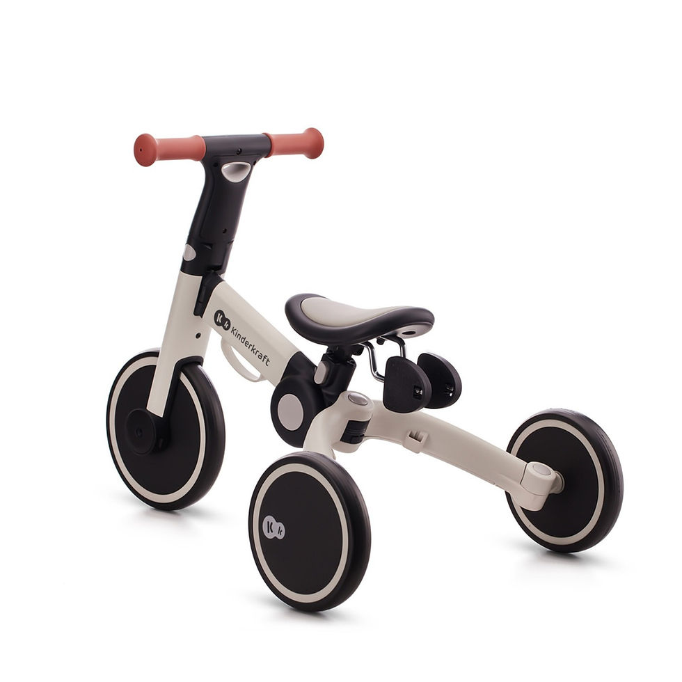 Miniatură: BICICLETA DE ECHILIBRU / TRICICLETA KINDERKRAFT 4TRIKE, SILVER GREY