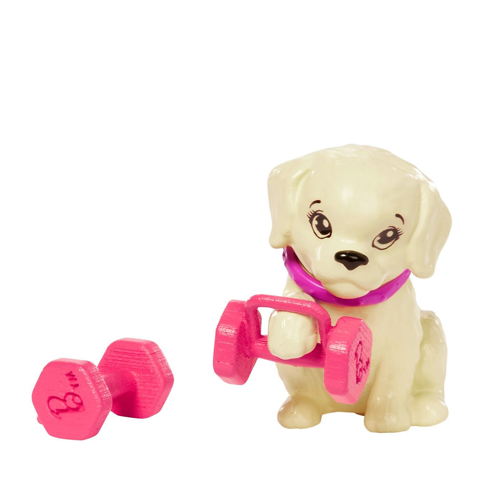 Miniatură: BARBIE SET DE JOACA CU ACCESORII PAPUSA BARBIE SPORTIVA