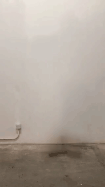damjanski-nudestudy54-motion.gif