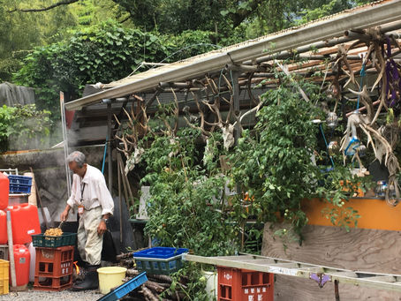 山北の猟師 杉本一さん〜自然界のまなざしで、人間社会を編んでいく〜前編