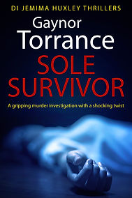 Sole Survivor.jpg