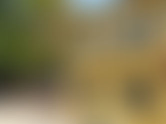 Gutshof Menterschwaige: Frisch saniertes Kleinod an der Isar in München-Harlaching
