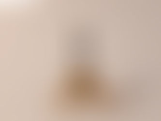 FNQ-inspired flat lay with props and tropical branding elements — perfect for small business marketing.