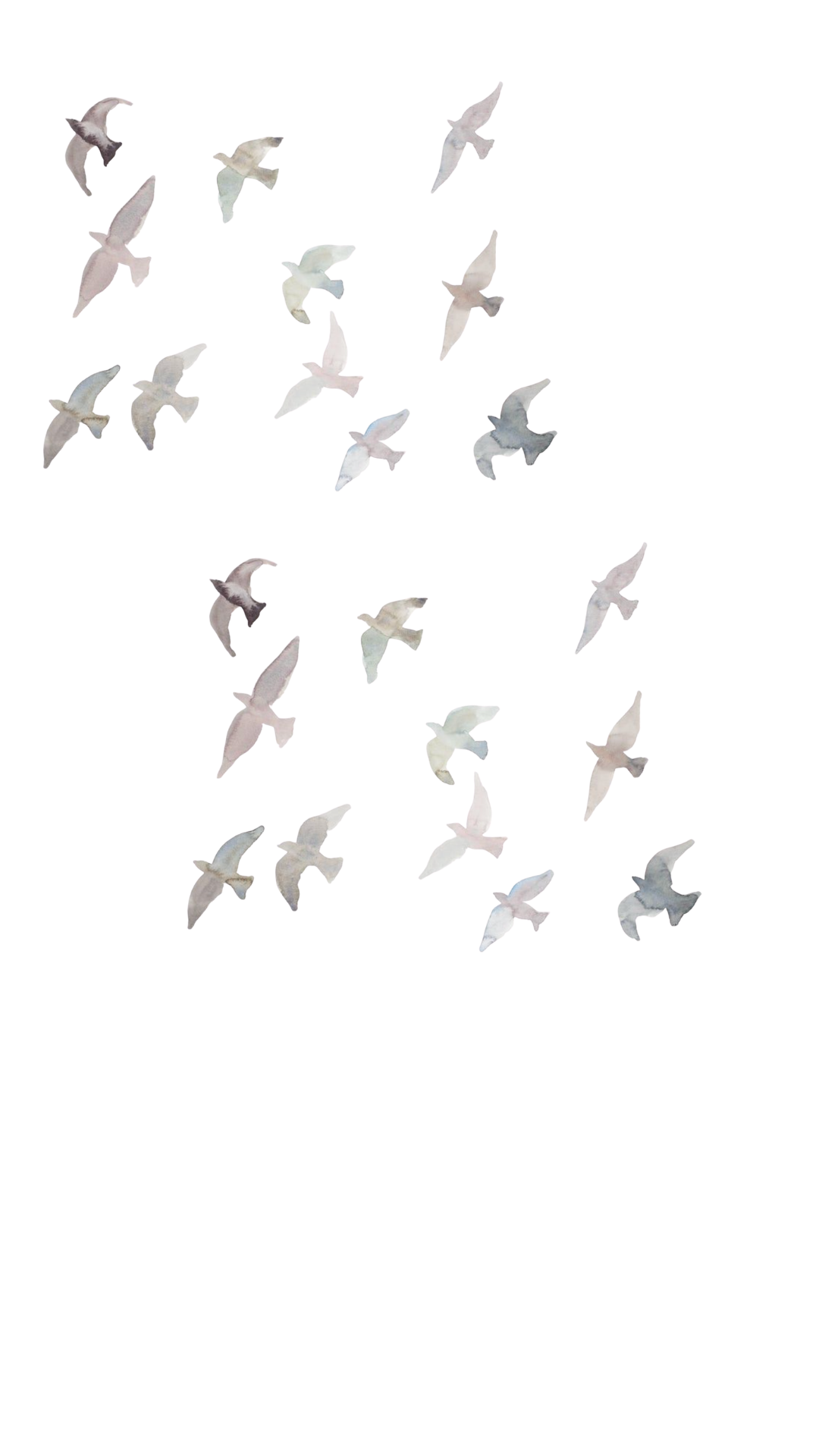 Untitled design (27).png