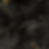Square Graphics-31.png