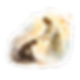 JW_Square (41).png