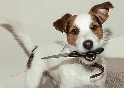 harvey knife2.jpg