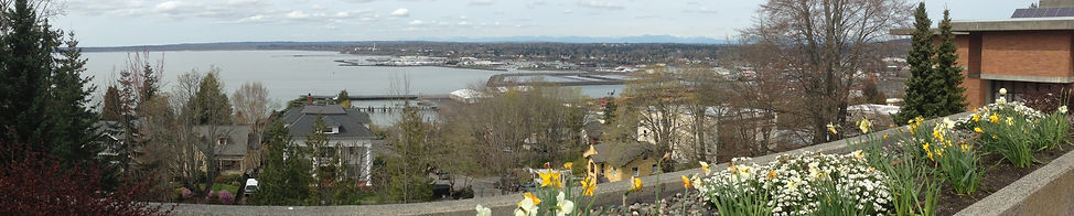 Bellingham Panorama