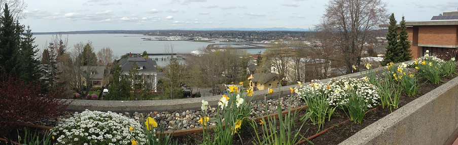 Flowers overlooking the bay from Western Washington University.