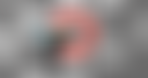 Timeline Check: Beyond the Feed