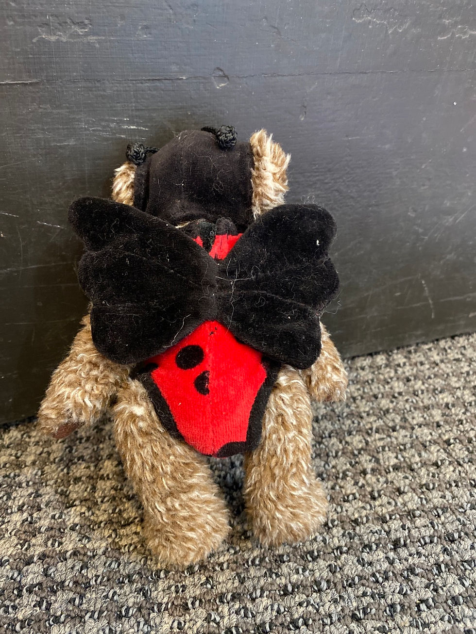 Miniatura: Beanie Baby: “Bugsy” (1993) The Attic Treasures Collection 