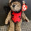Miniatura: Beanie Baby: “Bugsy” (1993) The Attic Treasures Collection 