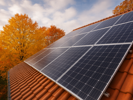 Solarmodule auf einem roten Ziegeldach mit herbstlich gefärbten Bäumen im Hintergrund bei diffusem Sonnenlicht.