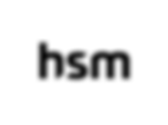 hsm.webp