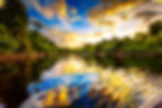 banner01-web.jpg